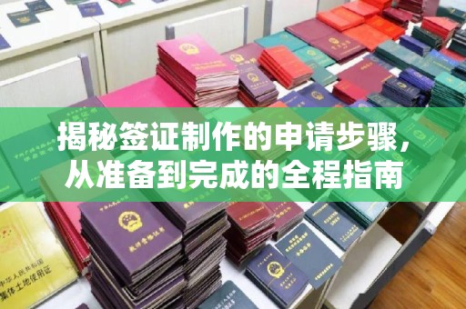 砀山揭秘签证制作的申请步骤，从准备到完成的全程指南